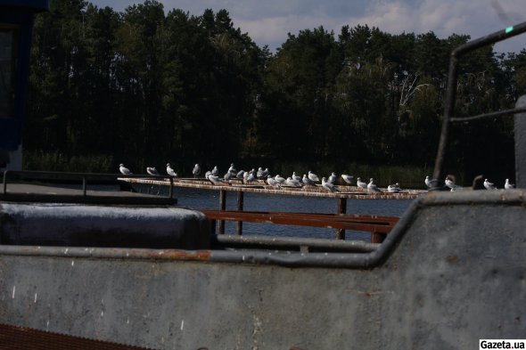 За день рибалки здійснювали по шість рейсів