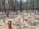 У звільненому Ізюмі Харківської області виявлено масове поховання.