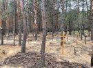 В освобожденном Изюме Харьковской области обнаружено массовое захоронение.