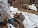 В Ізюмі продовжується ексгумація містян, які загинули під час російської окупації міста. Наразі відомо про щонайменше 500 тіл