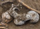 В Ізраїлі знайшли давні сліди вживання опіуму