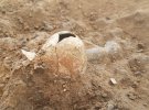 В Ізраїлі знайшли давні сліди вживання опіуму