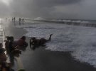 Ураган Ієн сягнув берегів Флориди