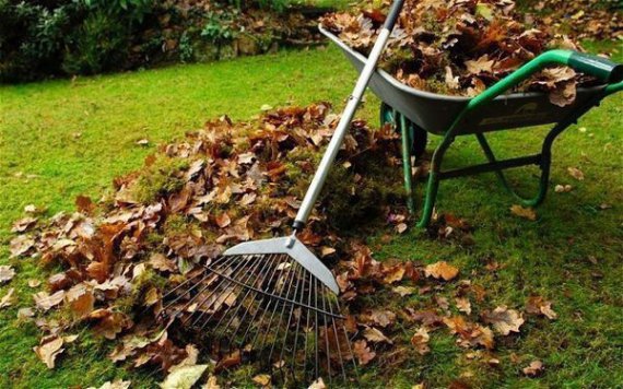 Осенняя уборка не менее важна, чем весенняя