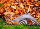 Осенняя уборка не менее важна, чем весенняя