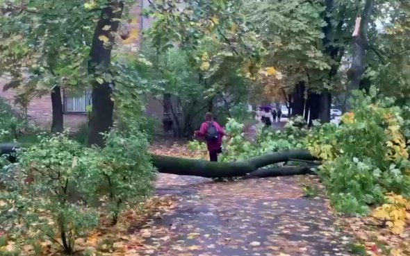 Непогода в Киеве наделала бед