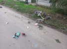 В Сквире Киевской области в аварии погибли дети
