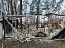 Російські окупанти зруйнували будинок музиканта.
