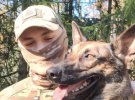 Нацгвардієць з Маріуполя зміг повернути свою собаку з окупації