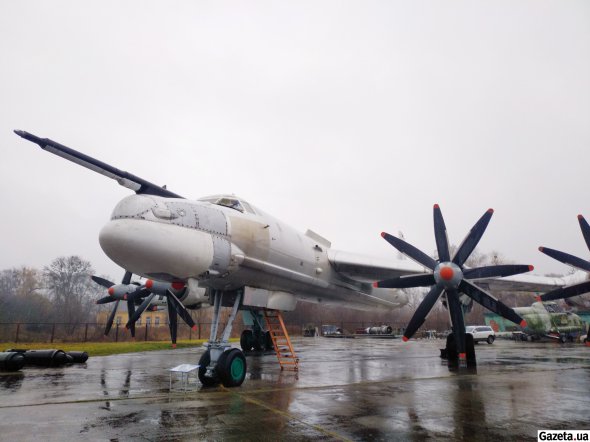 Турбовинтовый стратегический ракетоносец-бомбардировщик Ту-95 может быть носителем крылатых ракет разных типов: Х-22, Х-555 и Х-101. По данным из открытых источников, в России есть 42 таких самолета
