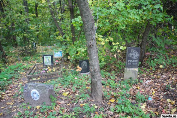 На кладовищі домашніх тварин чимало гранітних пам'ятників