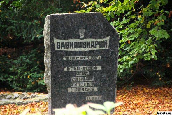 На 100-річчя з дня народження Микола Вавилова у листопаді 1987 року поруч з центральним корпусом заклали парк - "Вавиловіарій"