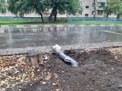 Вранці 23 жовтня російські терористи обстріляли Нікополь. Пошкоджень зазнали десять житлових будинків, дитсадок, приватні підприємства. Шестеро людей отримали поранення.