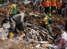Землетрясение в Индонезии унесло жизни уже 268 человек