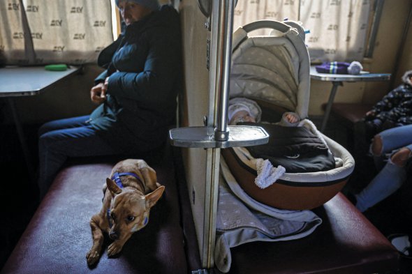 Пасажири евакуаційного потяга з міста Покровськ Донецької області їдуть до Львова та на Тернопільщину 30 листопада 2022 року. Проїзд безкоштовний. До повномасштабного нападу Росії на Донеччині постійно жило 1 670 000 людей. Нині – близько 235 тисяч осіб, залучених до оборони й підтримки роботи критичної інфраструктури. Через постійні ворожі обстріли в регіоні перебої з водою, немає газопостачання й тепла. Щоб його відновити потрібно запустити 220 додаткових котелень