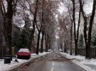 Во Львове в воскресенье из-за налипания мокрого снега бурлит ненастье