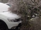 У Львові у неділю через налипання мокрого снігу вирує негода