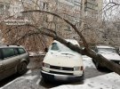 Во Львове в воскресенье из-за налипания мокрого снега бурлит ненастье