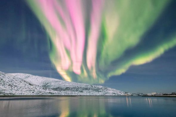 В Норвегии второй раз с ноября зафиксировали редкое розовое полярное сияние