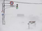 Японию накрыл мощный снегопад