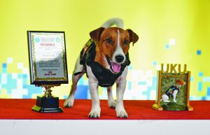 У листопаді джек-рассел-тер’єр Патрон став першим собакою в історії, що отримав титул ”Пес доброї волі” від UNICEF