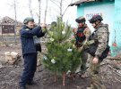 Показали главную елку Луганской области