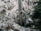 В результате российского ракетного удара по Киеву погибли и ранены