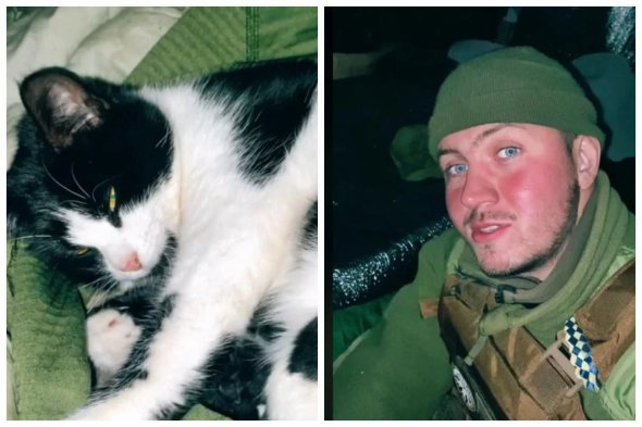 Воїн допоміг кошенятам з'явитися на світ і подбав про них, попри обстріли і холод