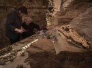 У Єгипті знайшли мумії крокодилів