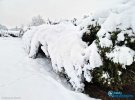 У Польщі потужні снігопади спричинили хаос