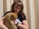  Журналістка Тетяна Наконечна вивезла тварину у безпечне місце, де чотирилапому надали кваліфіковану медичну допомогу