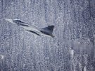 Saab JAS 39 Gripen – шведський багатоцільовий винищувач четвертого покоління.