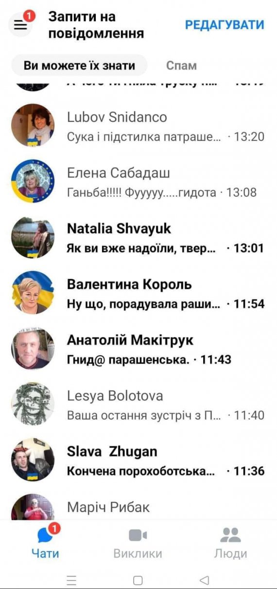 Скриншоти отриманих журналісткою "5 каналу" Ганною Рибалки повідомлень у соцмережі 