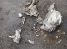 Кадри наслідків масованого обстрілу Харківщини