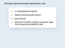 Сервіс "Дія" опублікував інфографіку