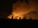Испанию охватили лесные пожары