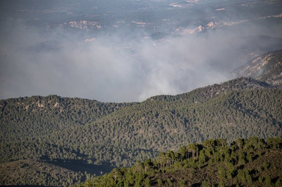 В Іспанії сталася пожежа, через яку згоріли близько 4 тис. га лісового масиву.