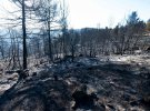 В Испании произошел пожар, из-за которого сгорели около 4 тыс. га лесного массива.