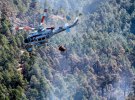 В Іспанії сталася пожежа, через яку згоріли близько 4 тис. га лісового масиву.