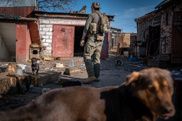 Украинские волонтеры в Донецкой области