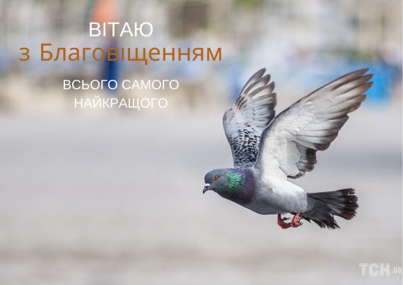 Благовещение христиане отмечают 7 апреля