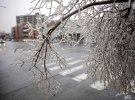 В Канаде выпал ледяной дождь. В результате непогоды более одного миллиона потребителей остались без электричества.