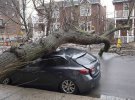 В Канаде выпал ледяной дождь. В результате непогоды более одного миллиона потребителей остались без электричества.