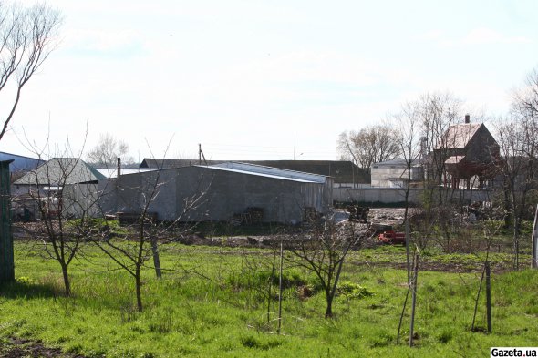 Поголів'я великої рогатої худоби у господарстві складало близько 500 корів