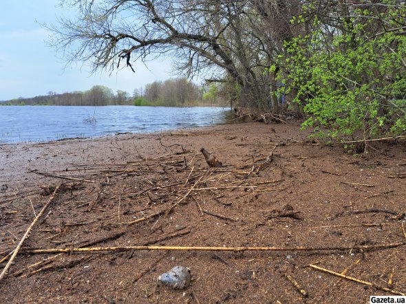 Село Чечелево в Каменопотоковской сельской общине Кременчугского района Полтавской области оказалось в зоне подтопления - в этом году вода достигла частных домовладений впервые за полвека