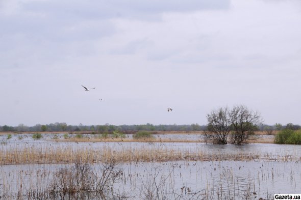 Село Чечелеве в Кам'янопотоківській сільській громаді Кременчуцького району Полтавської області опинилося в зоні підтоплення - цього року вода досягла приватних домоволодінь уперше за майже пів століття