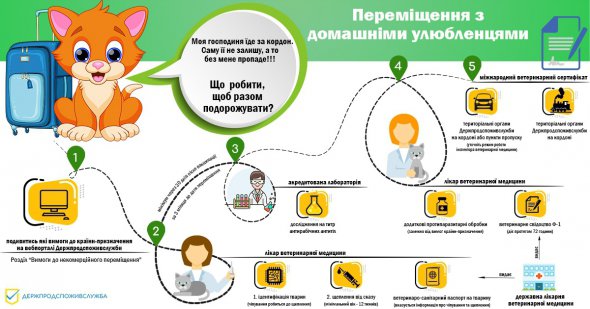 Чек-лист: как пересечь границу с домашним любимцем