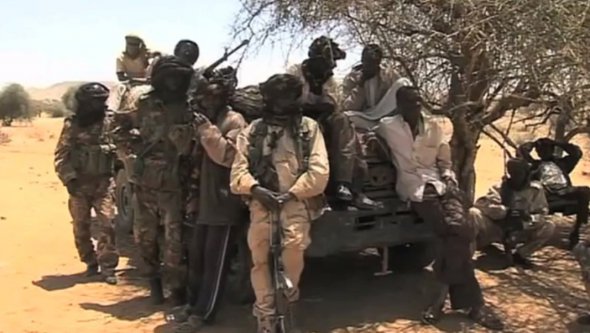 Провластные силы в Дарфуре 