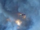 У Канаді вирує лісова пожежа