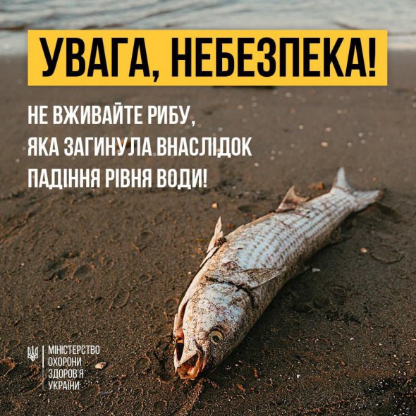 Міністерство охорони здоров'я закликало уникати купівлі риби в місцях стихійної торгівлі